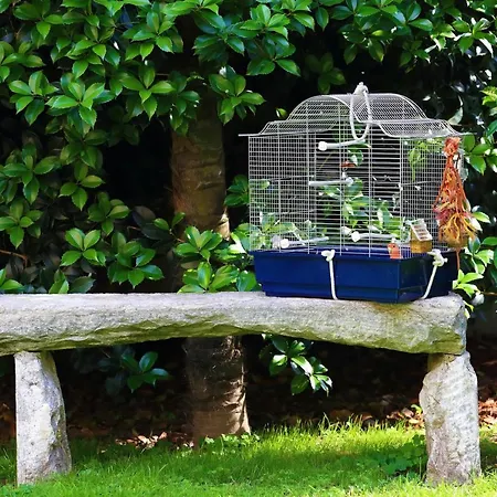 住宿加早餐酒店 B&borgo *