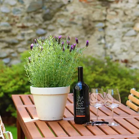 B&borgo * 阿斯科纳