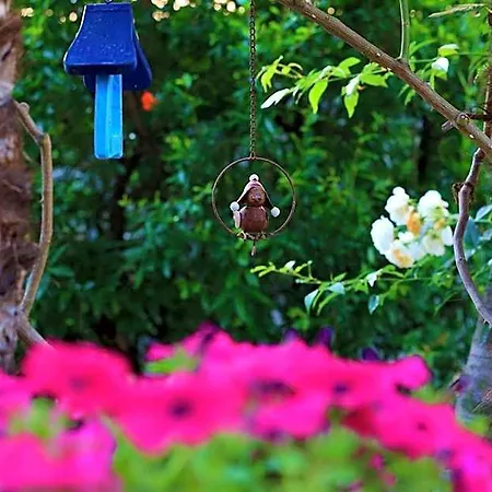 B&borgo Bed & Breakfast