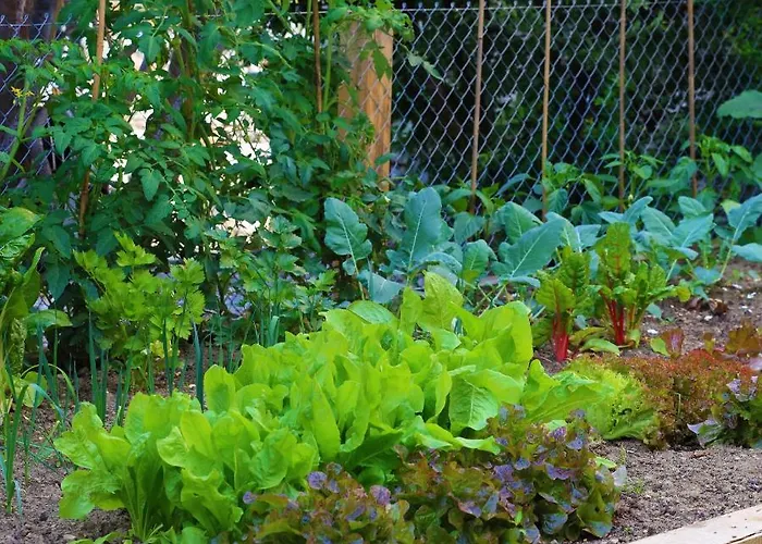 B&borgo Bed and breakfast Ascona