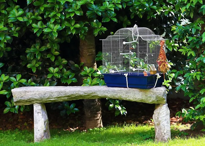 Bed and breakfast B&borgo *