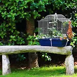 Bed & Breakfast B&borgo *